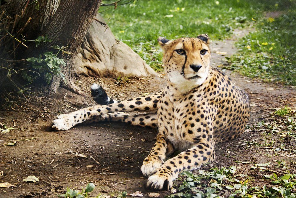 Спокойствие