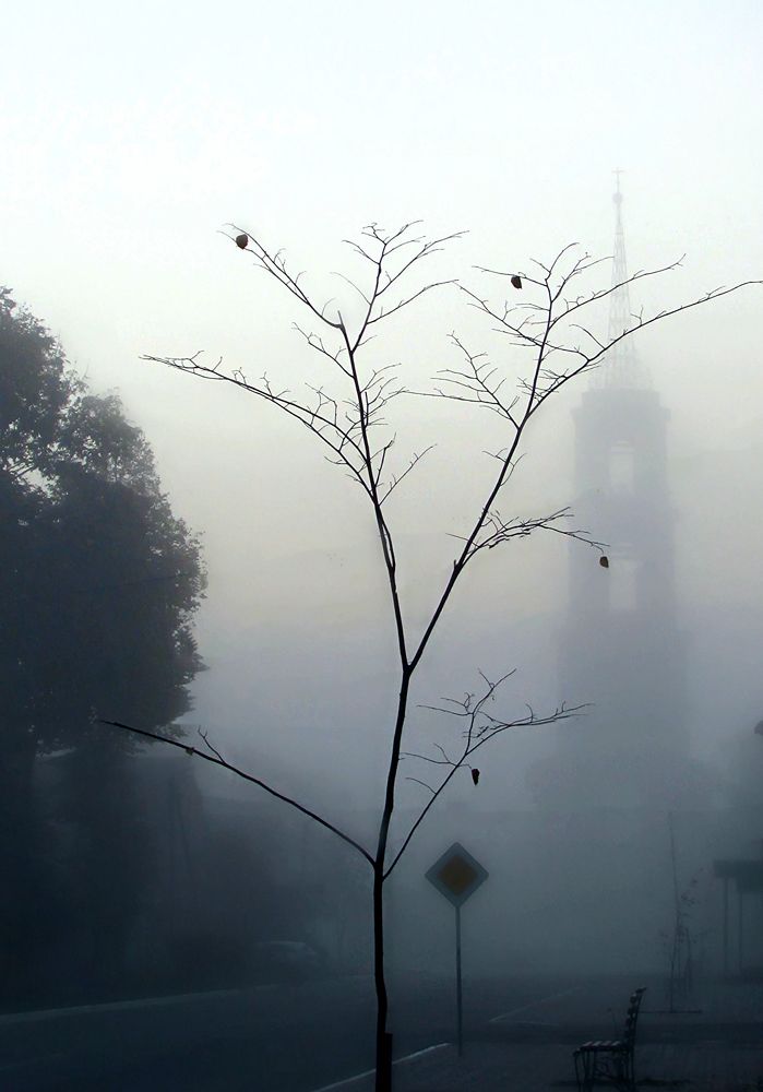 Туманные миражи в старом городе...