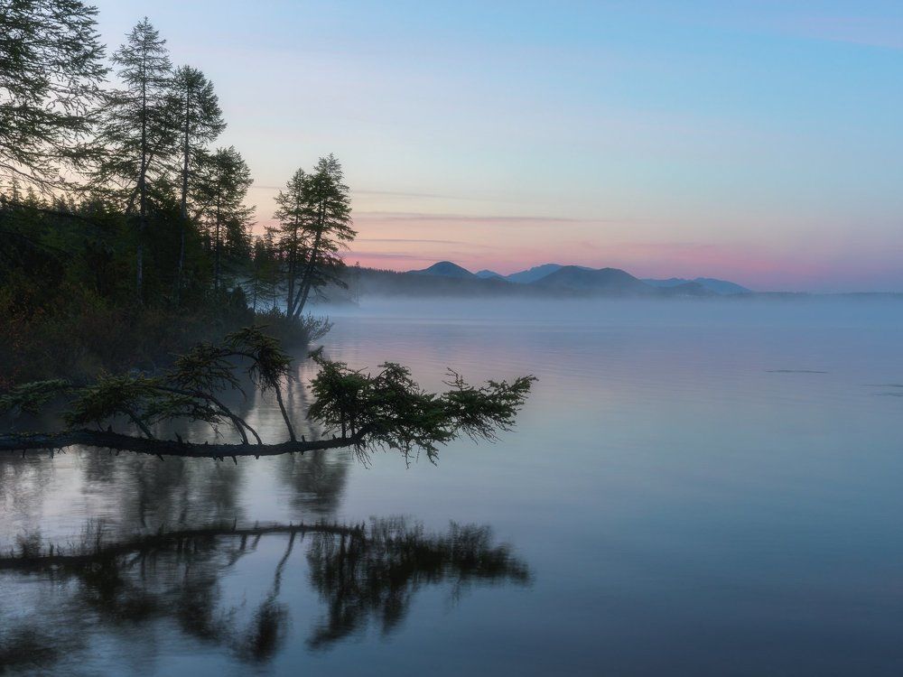 Ожидание осени