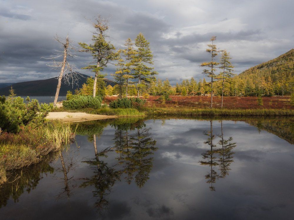 Стальное отражение