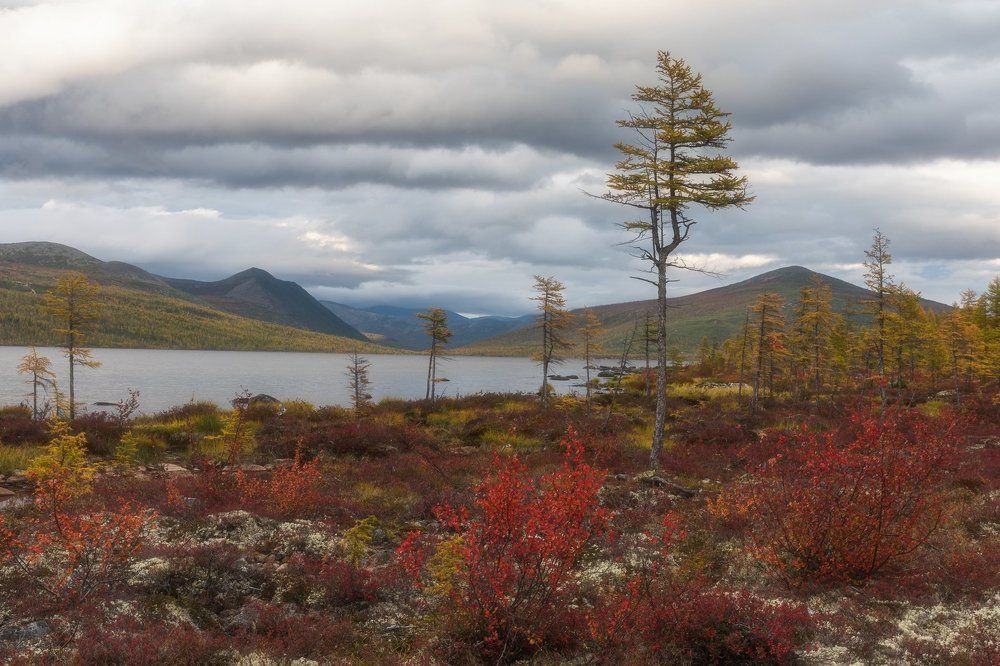 Осенняя палитра