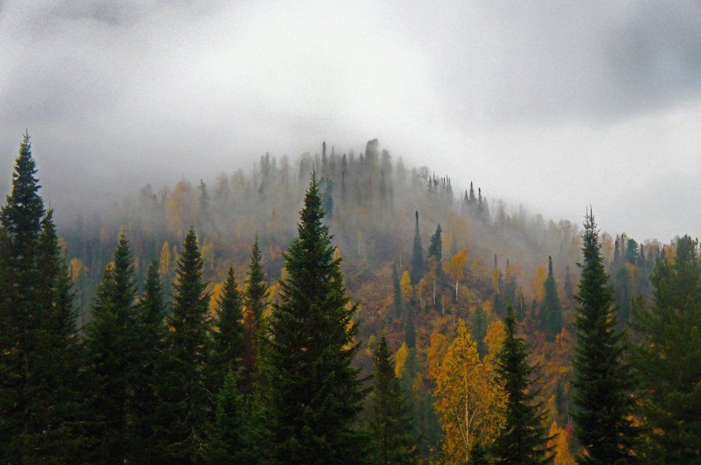 Photograph by Адам