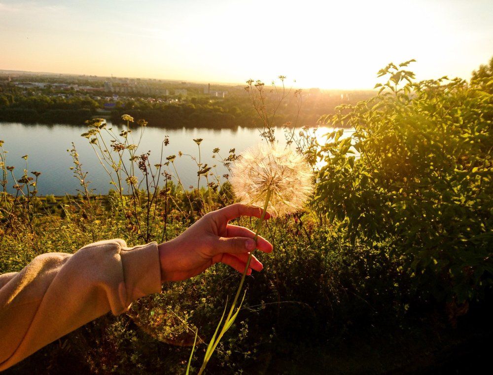 Light flowers will fly