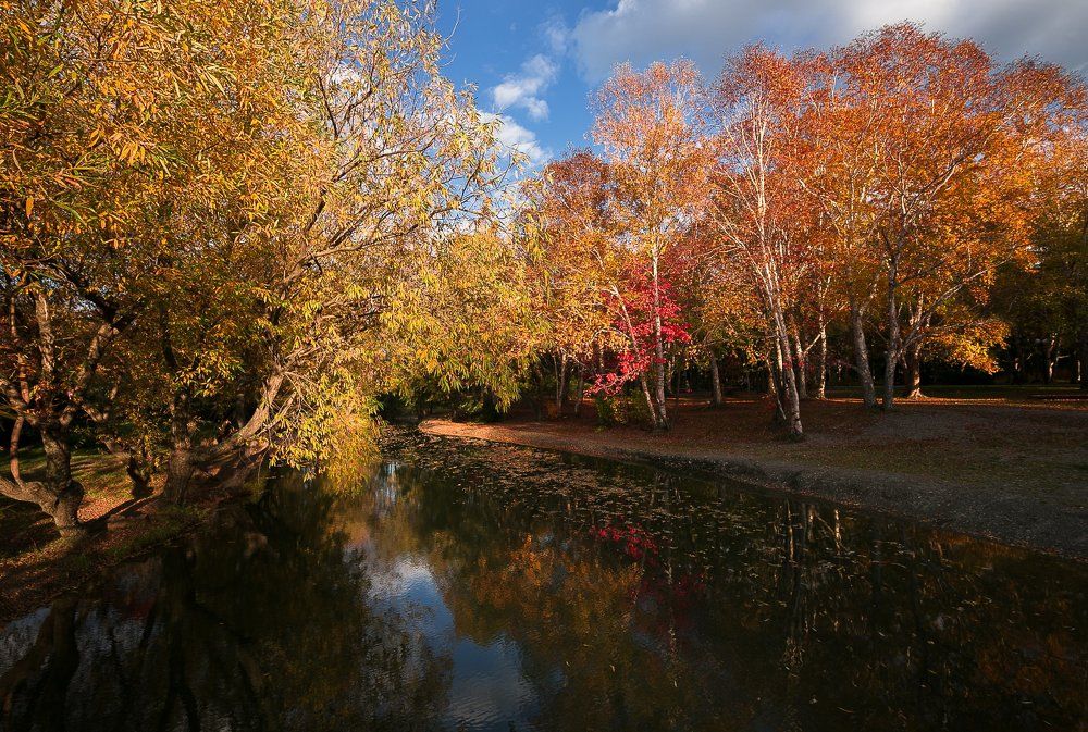 Сахалинская осень