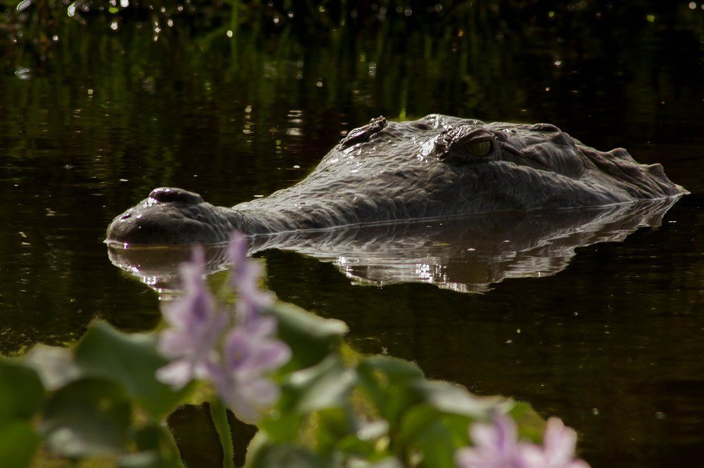 Just wait the moment