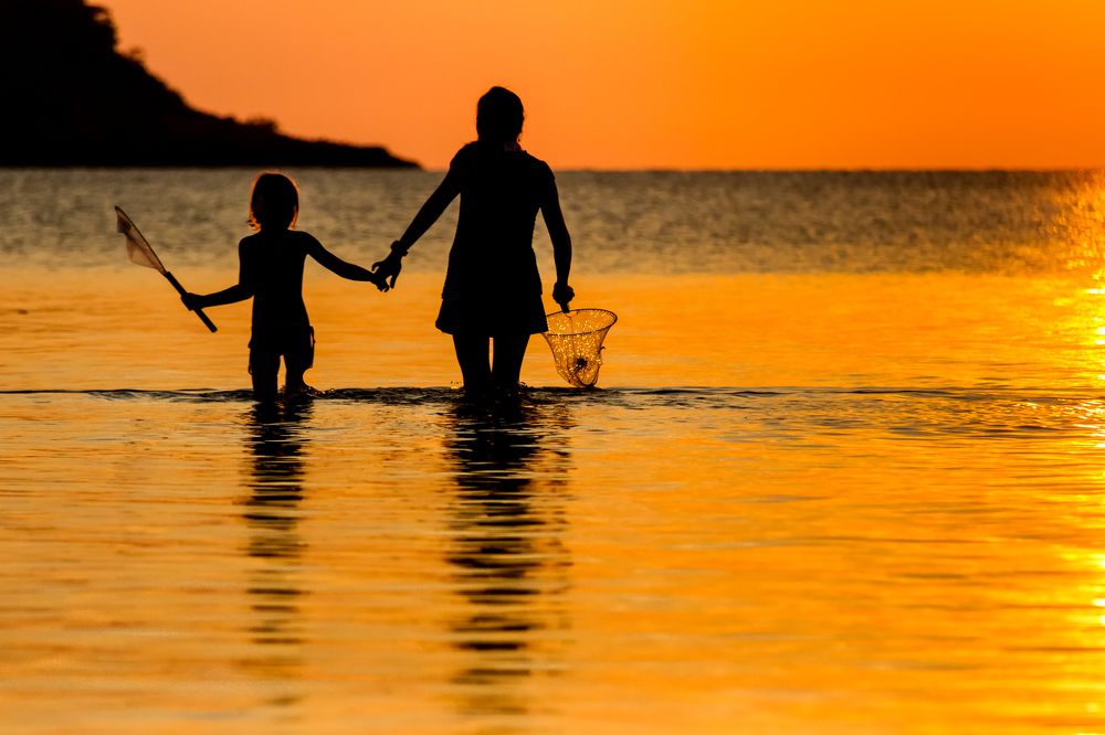 Успеть поймать солнце