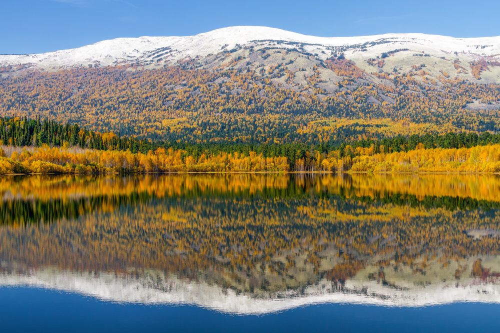 Первый снег