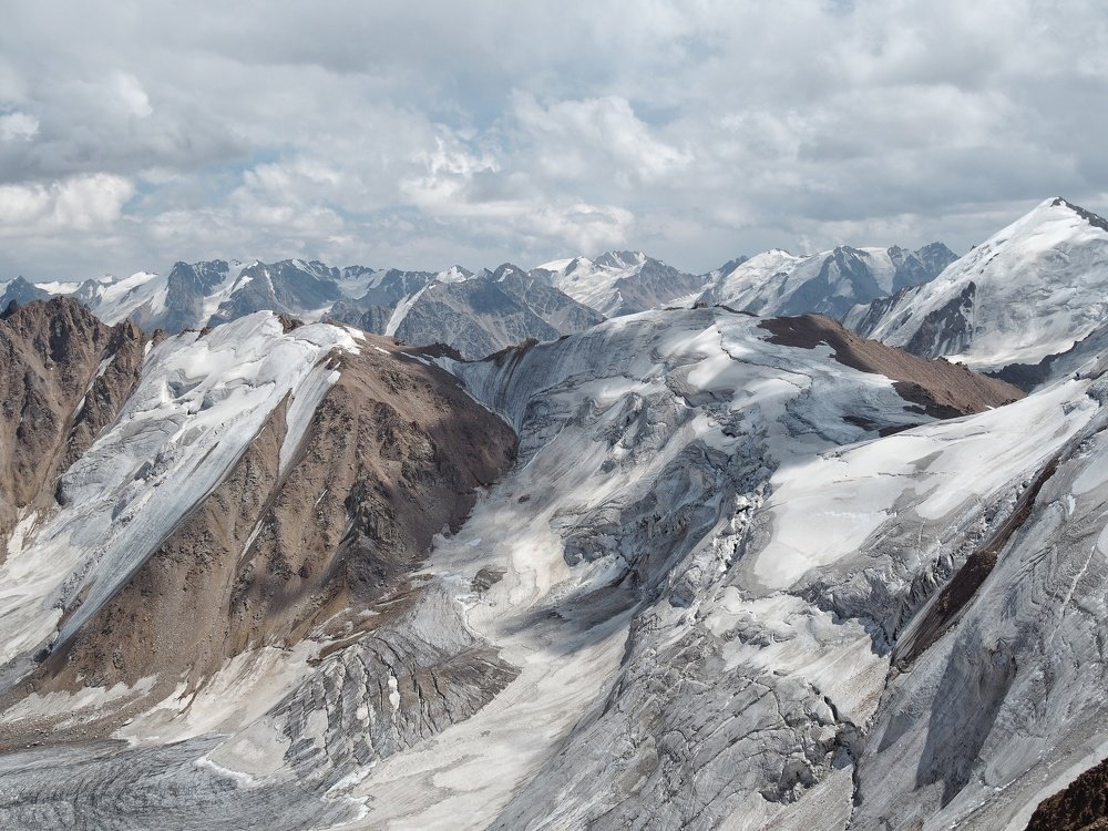 Там где сердце