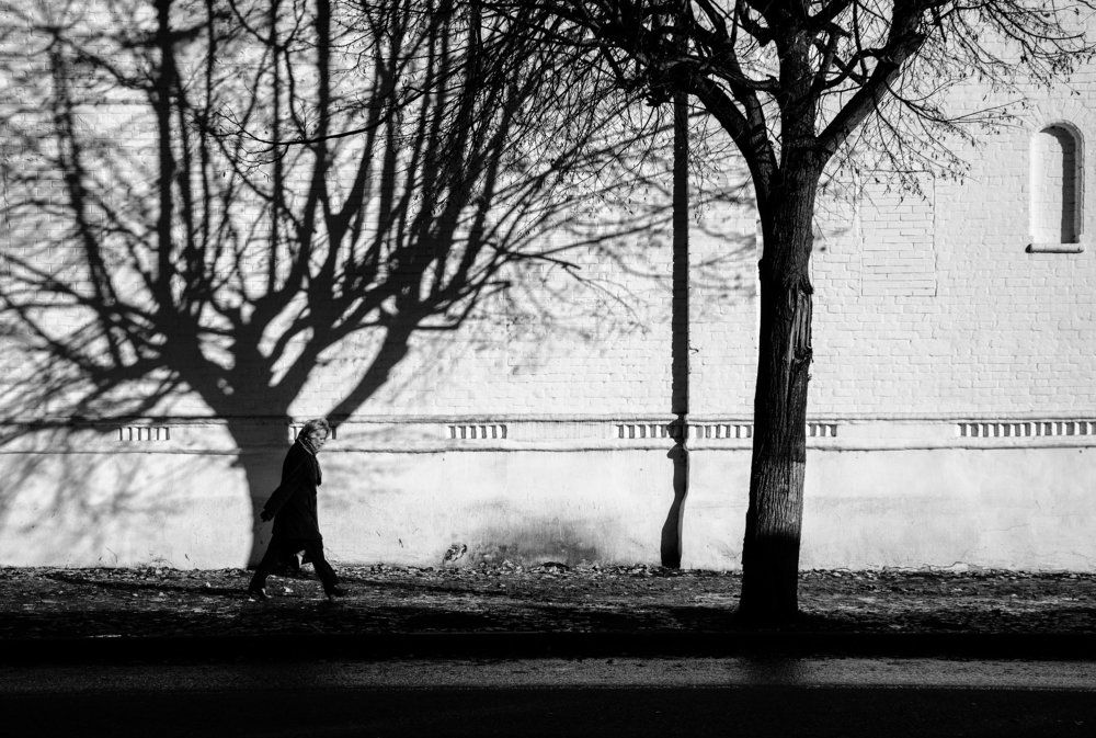 Photo #1998070