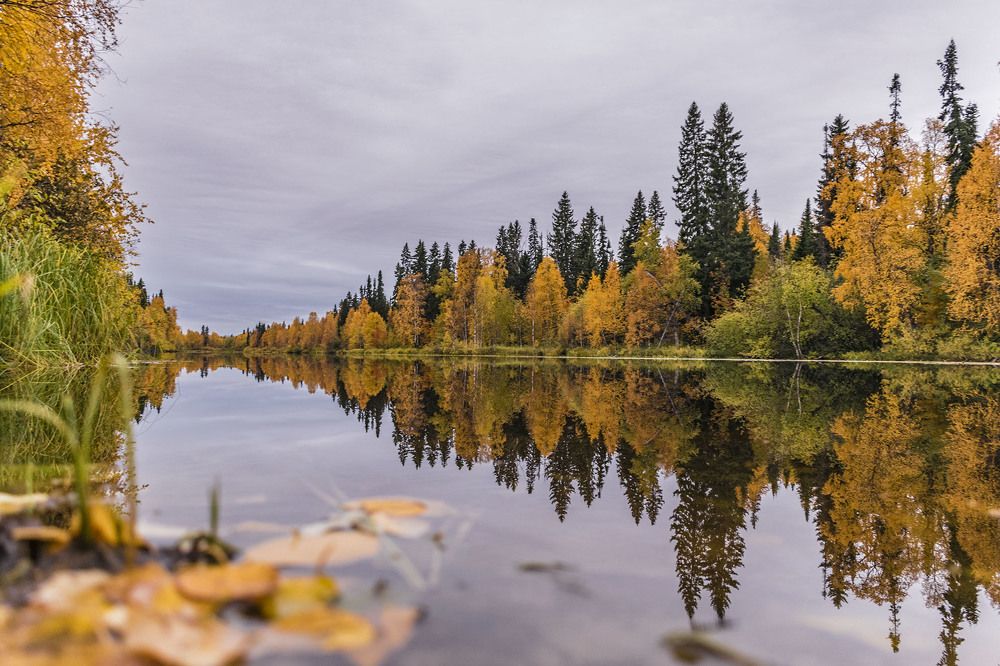 Осень, в зеркальном озере