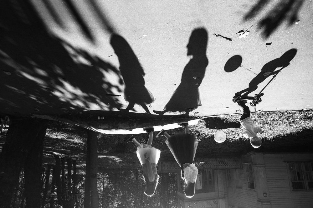 семейный портрет