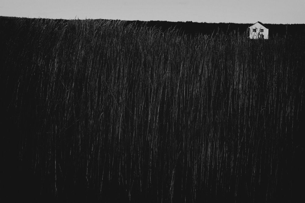 Дом на краю тишины.