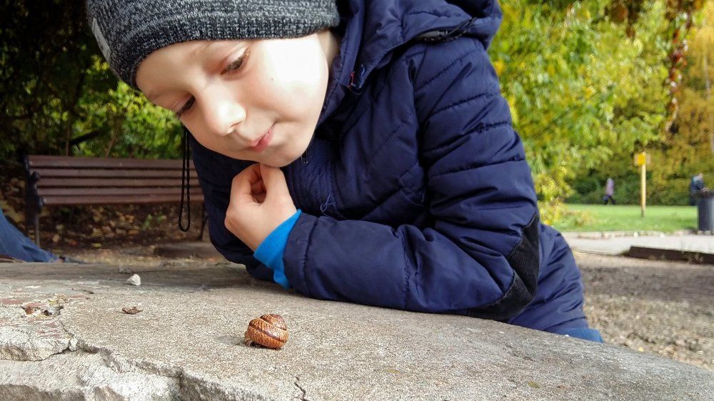 И где же твои рожки?