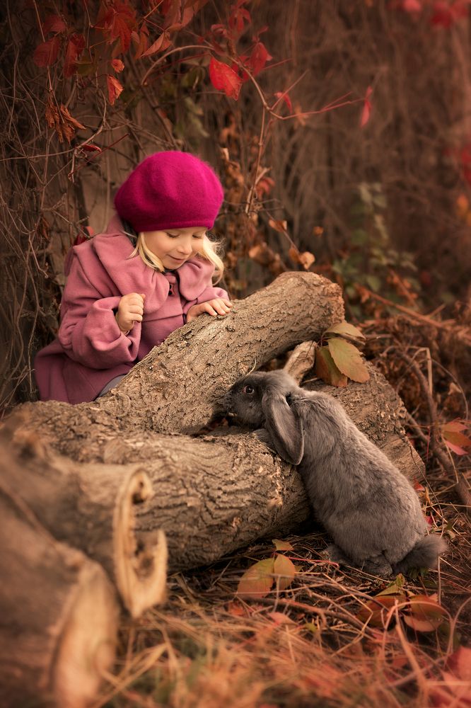 Осенняя игра в прятки