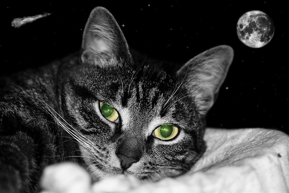 И целого мира мало...