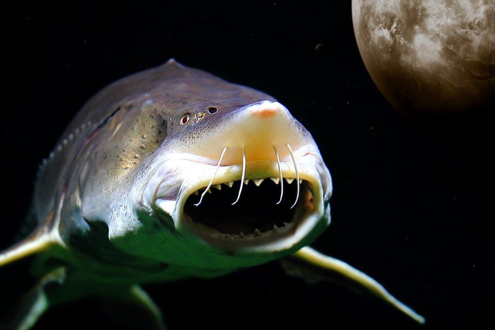 Страх неизведанного...