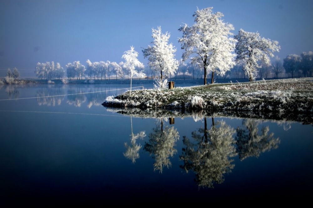 Frosted landscape