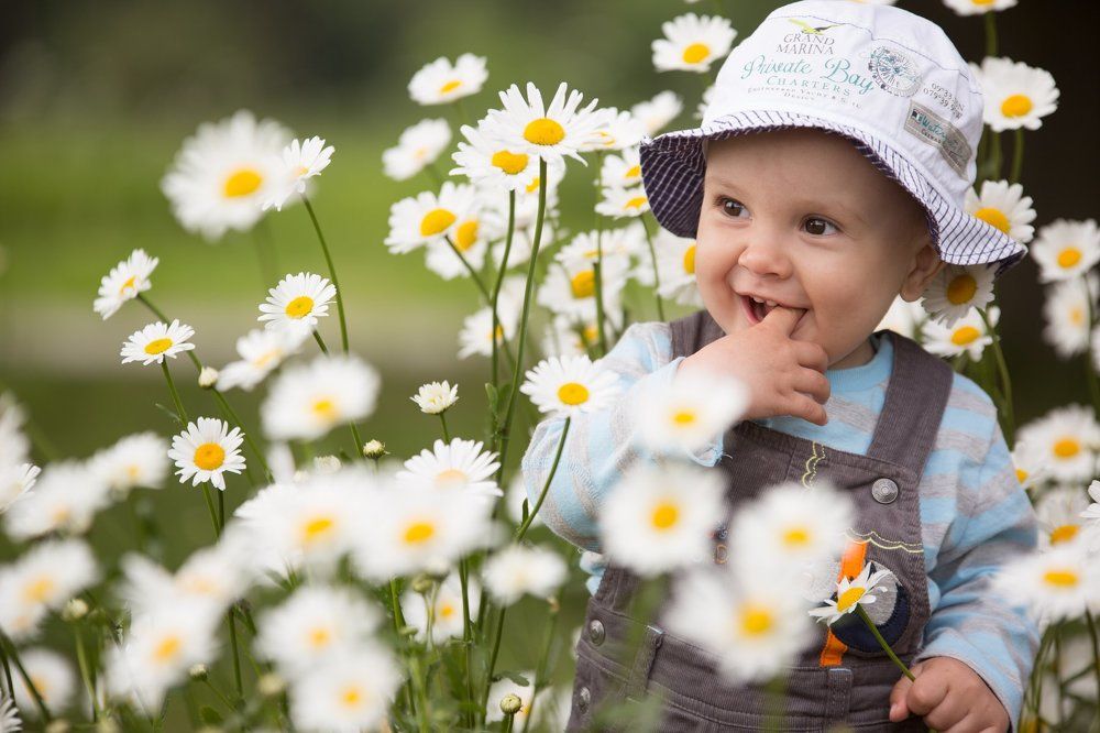 Раз ромашка, два ромашка