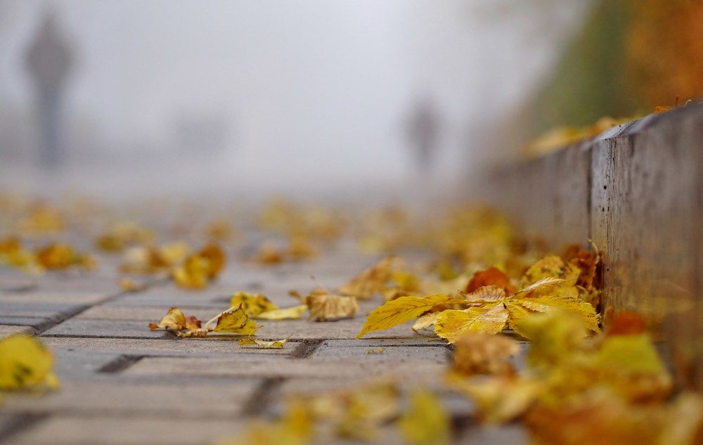 Осень в городе