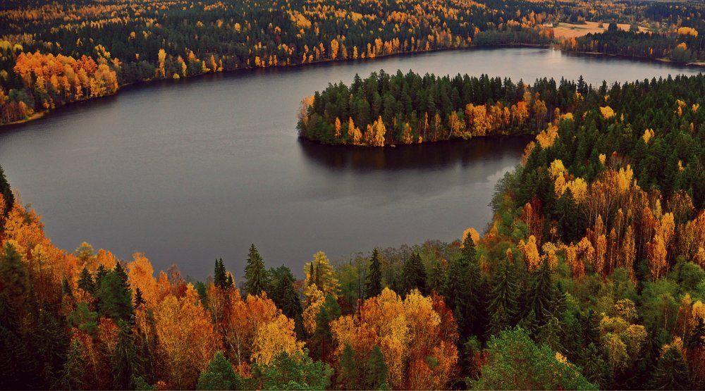 парк Ауланко