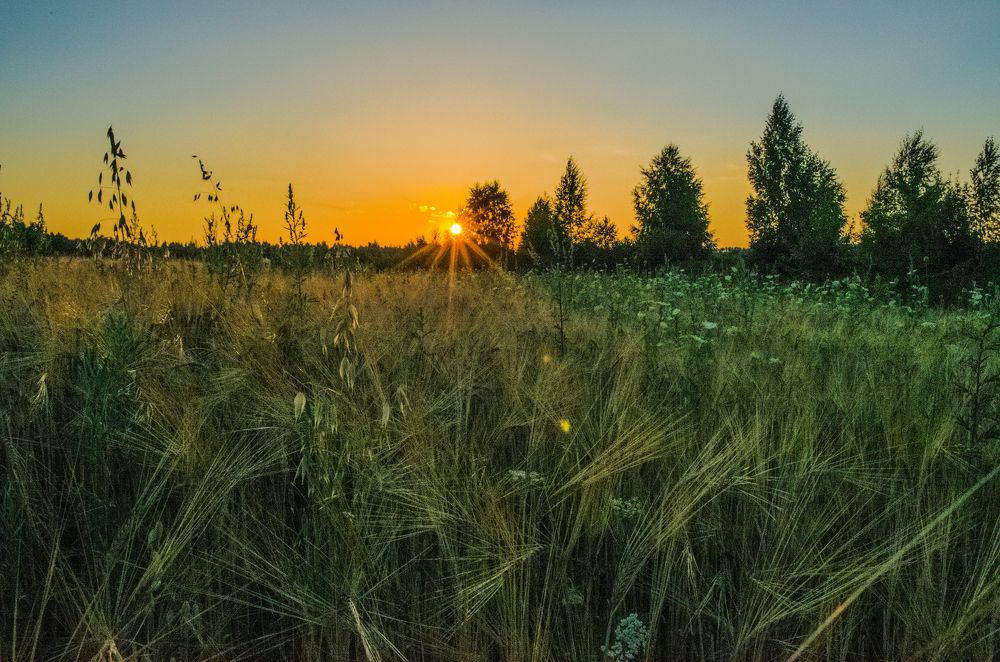 Августовский вечер