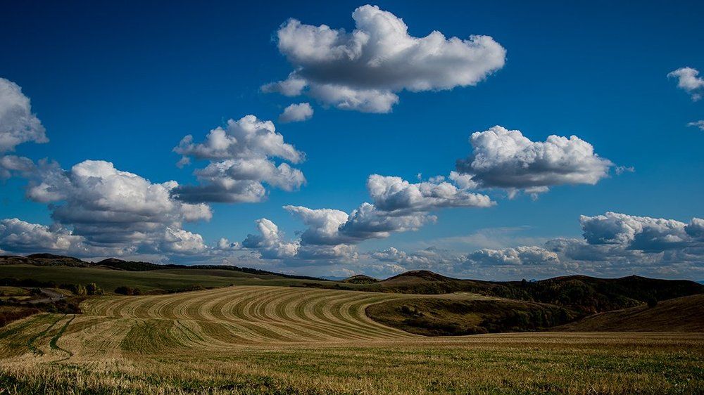 Photograph by Vorotilov Dmitry