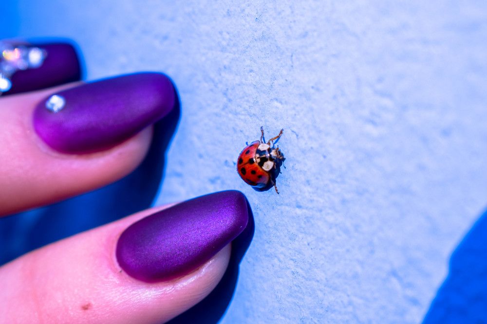 маленькое солнышко