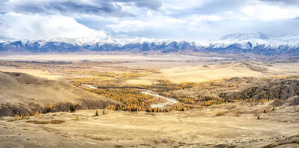 Курайские просторы