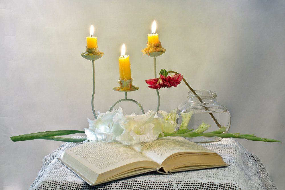 Красный георгин