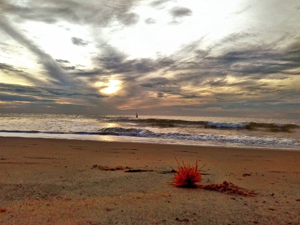 sunrise