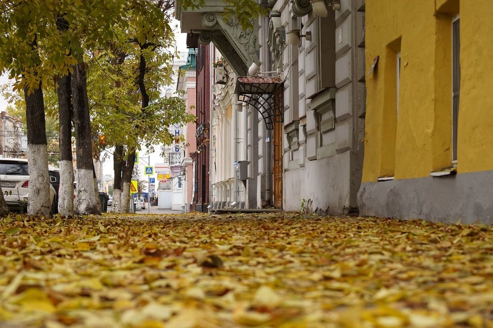 Осень в городе