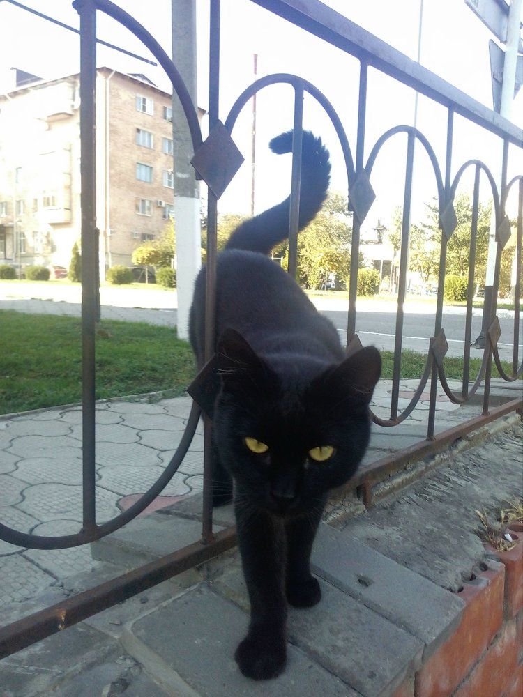 Вопросик