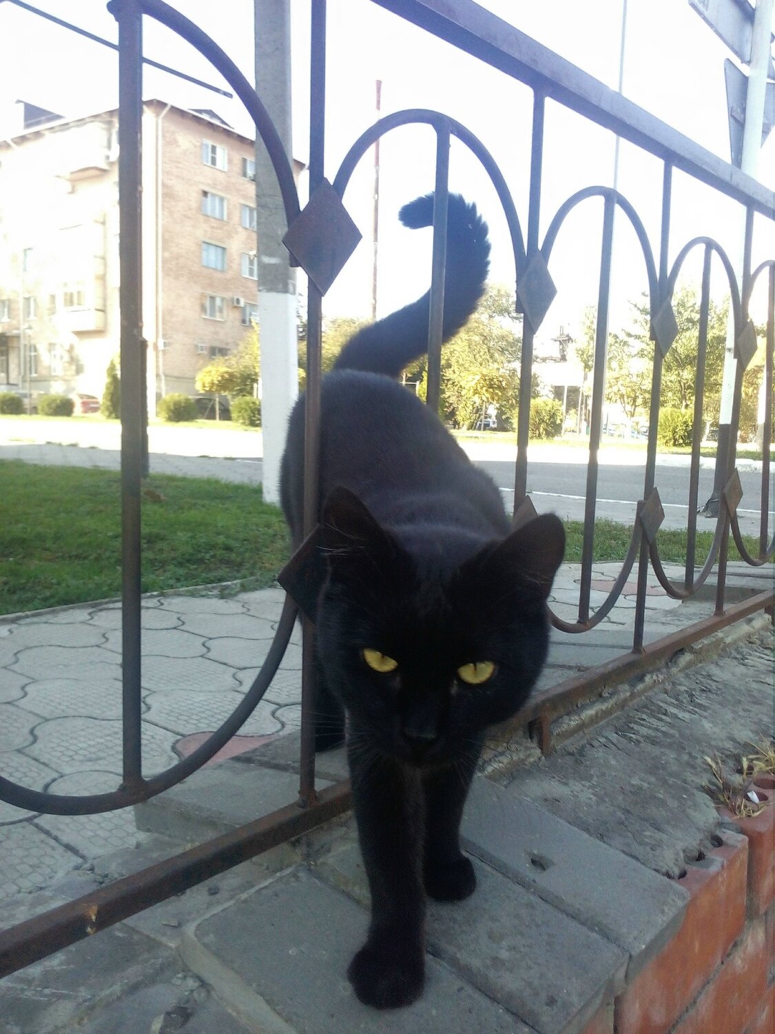 Вопросик