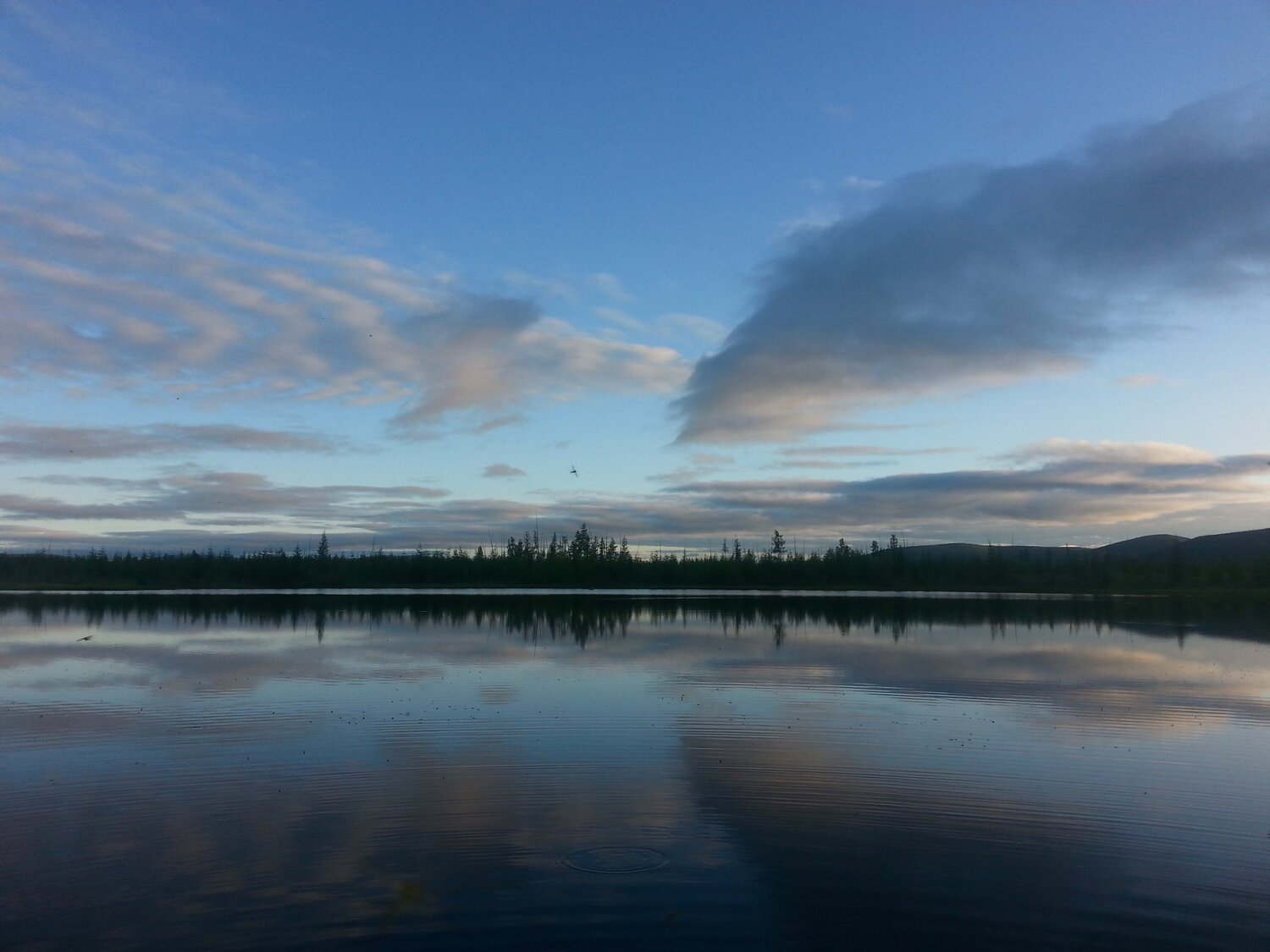 Зеркало