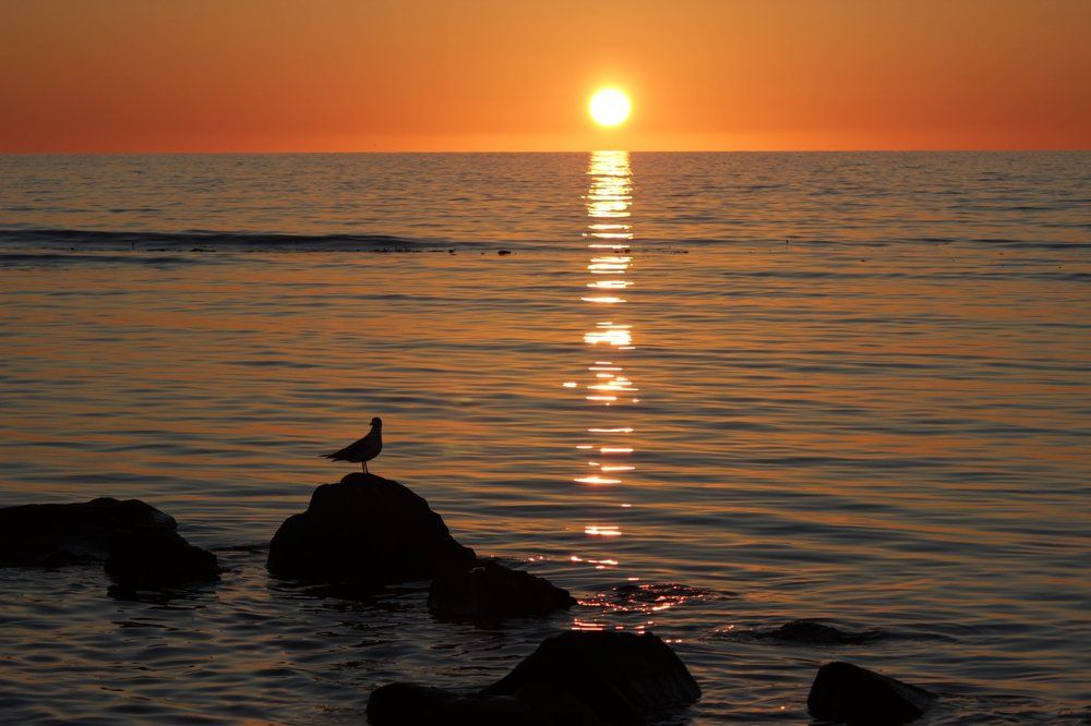 Одинокая невеста