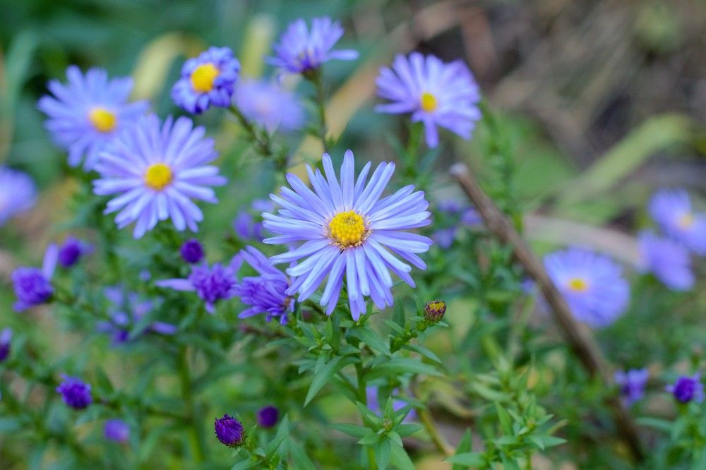 Photograph by Высочина Ирина