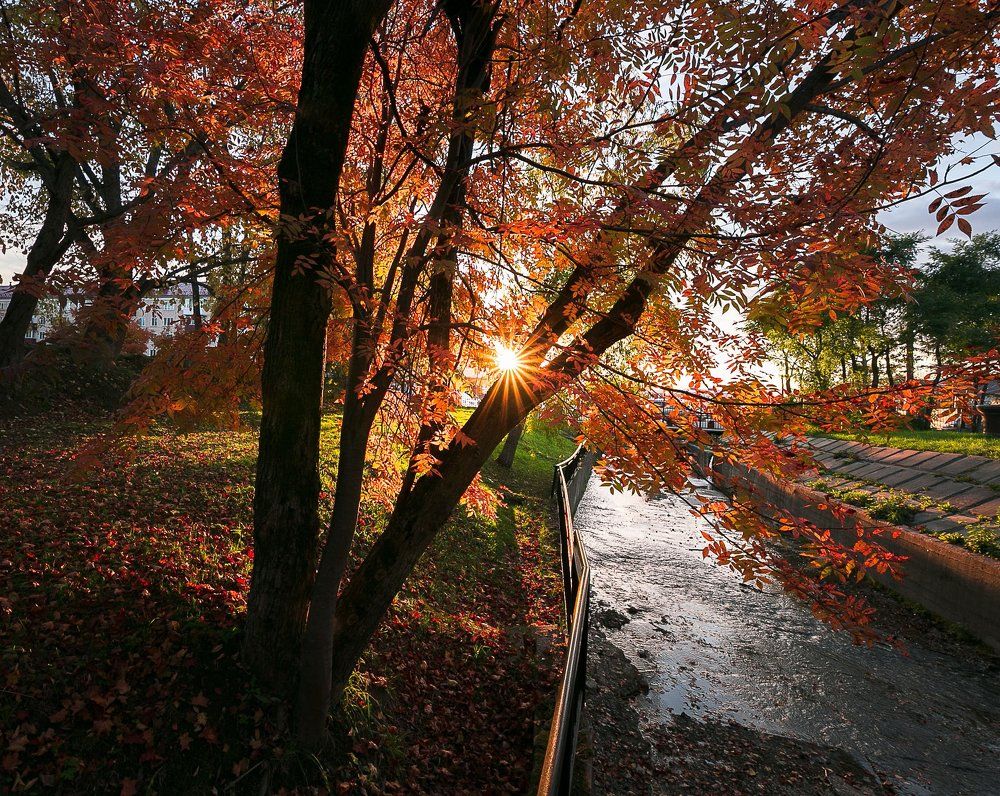 Осень в парке