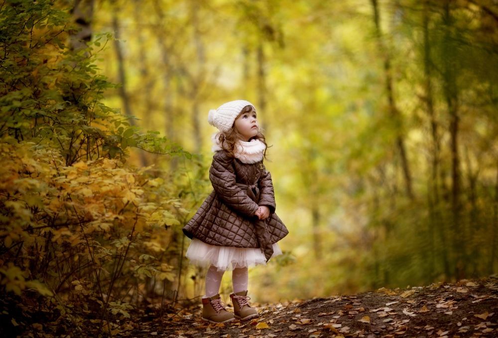 Осеняя мечта