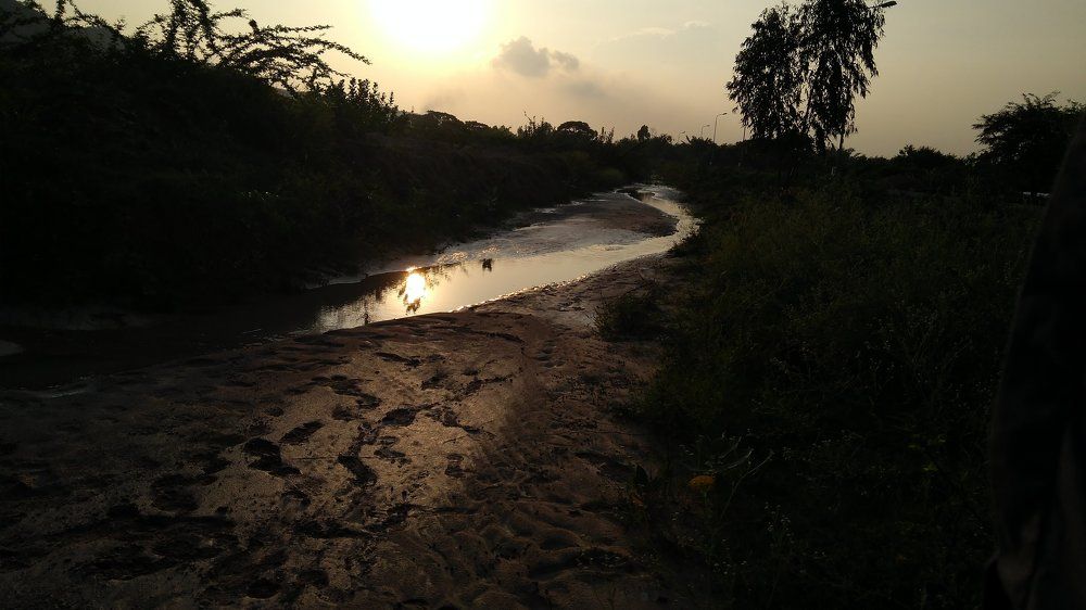 sunset