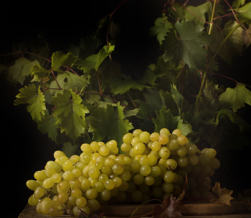 Виноградное утро