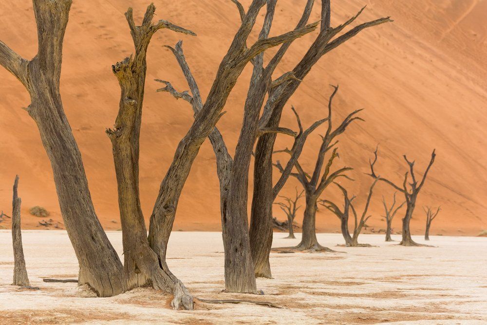 Photograph by slavka