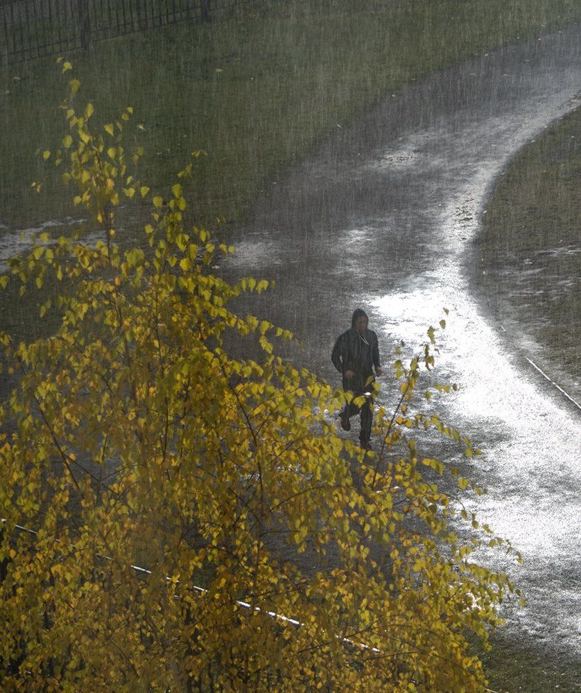 ЗОЖ в любую погоду