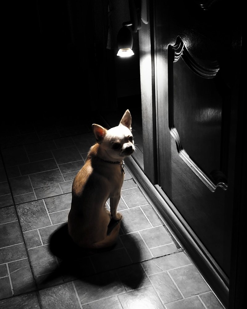 Photograph by Илья Лобанский
