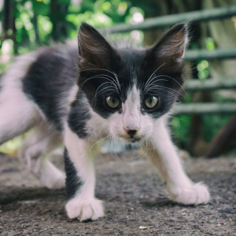 уверенность