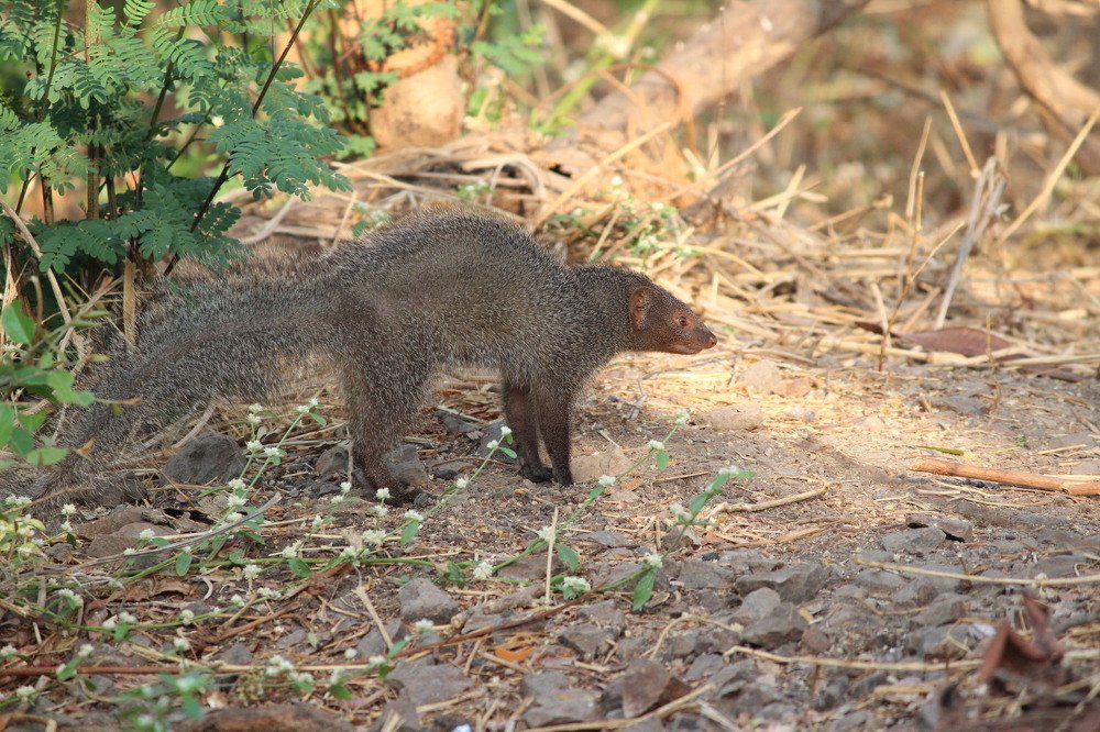 How to control anger ?