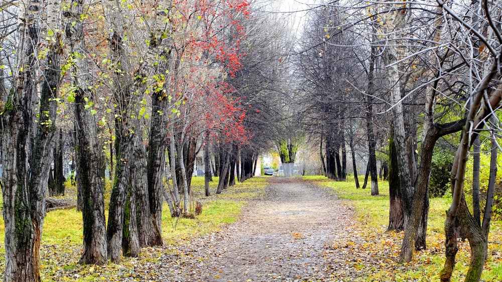 этюд октября