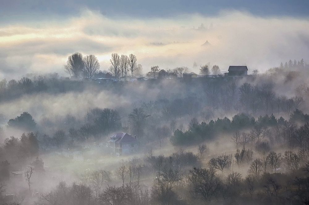 Тревожное утро