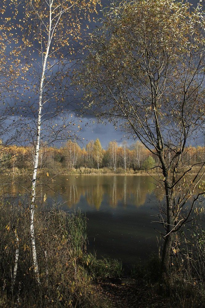 Безмятежность и спокойствие на просторах русской земли