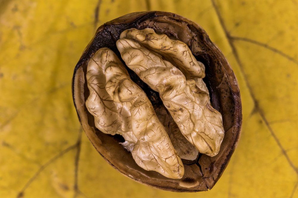 Грецкий орех