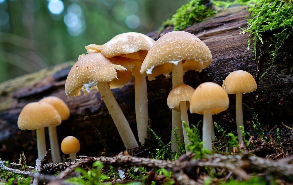 Фотография автора Valery Bel@kov